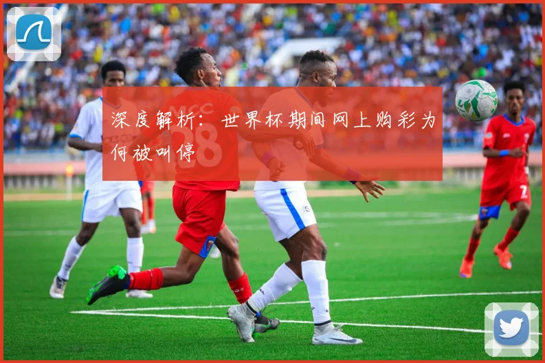 深度解析：世界杯期间网上购彩为何被叫停