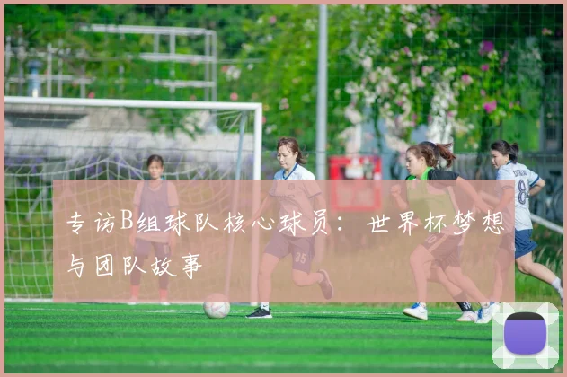 专访B组球队核心球员：世界杯梦想与团队故事